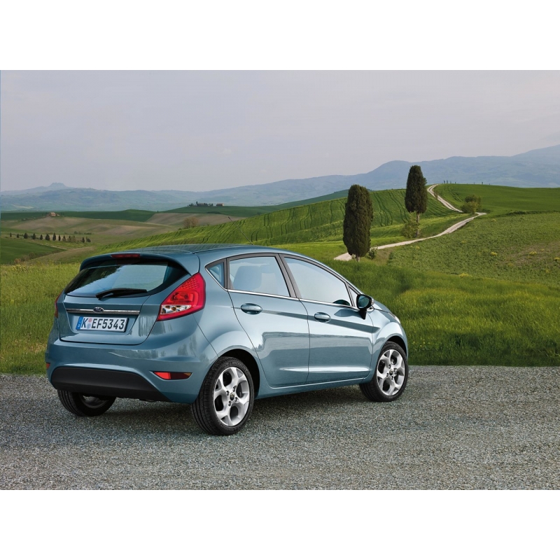 Комплект съемной тонировки Ford Fiesta MK6 (2008)